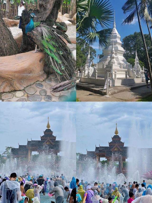 西雙版納已回，說一說我的感受