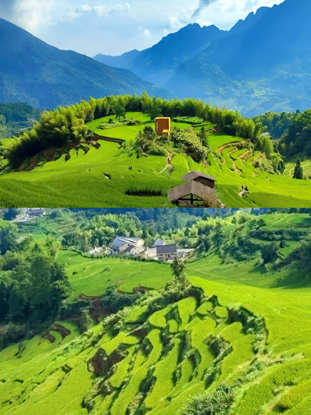 麗水雲和·雲和梯田