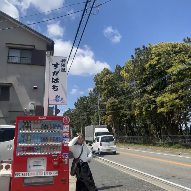 🌪️福岡松原海岸｜風狂日暖的海岸絮語：半小時車程的「頭被吹飛」體驗記