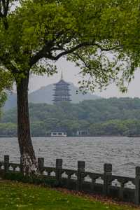 騎行探春環西湖15公里，桃紅柳綠皆盡收眼底
