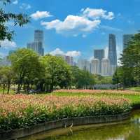 深圳·去一次就會愛上的公園🍃中心公園