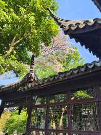 暮春的怡園