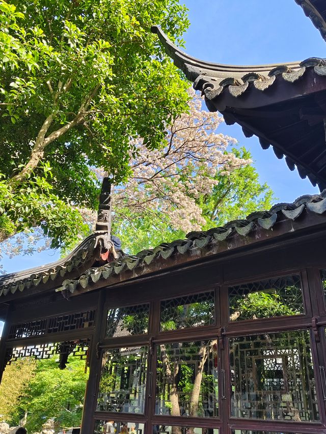 暮春的怡園
