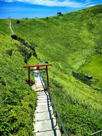 夏日限定 抹茶味兒大室山