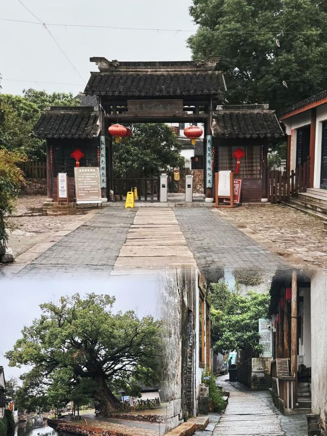 嚟蘇州西山島一定一定要睇一次日落！！