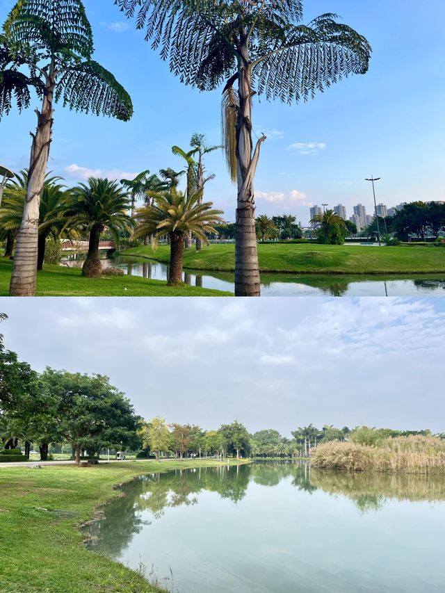 彌勒湖泉生態園｜漫步湖光，泡湯享寫意時光～