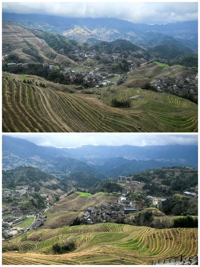 桂之旅丨龍勝龍脊梯田a