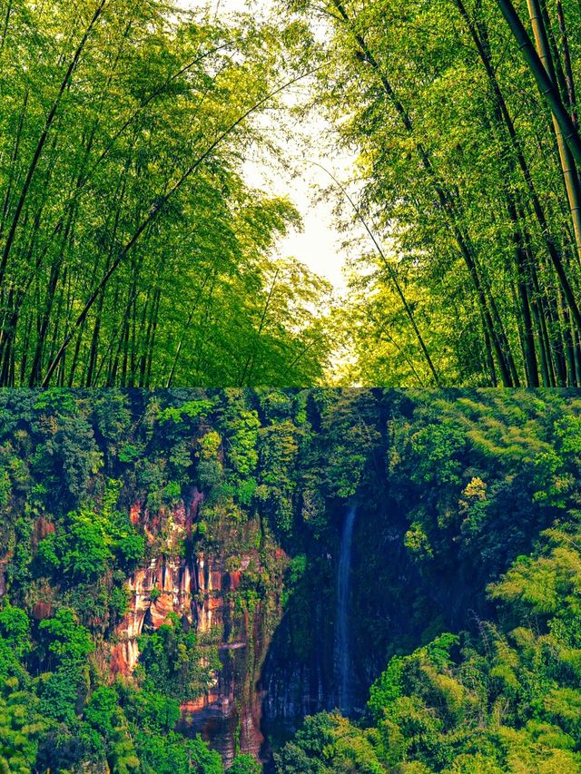 真係唔喺江浙滬度㗎，呢度係宜賓竹海