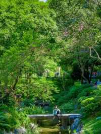 Yuntai Garden in Guangzhou is Amazing😍