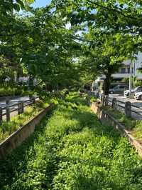 你知道嗎？東京有許多橫穿城市的超長綠道