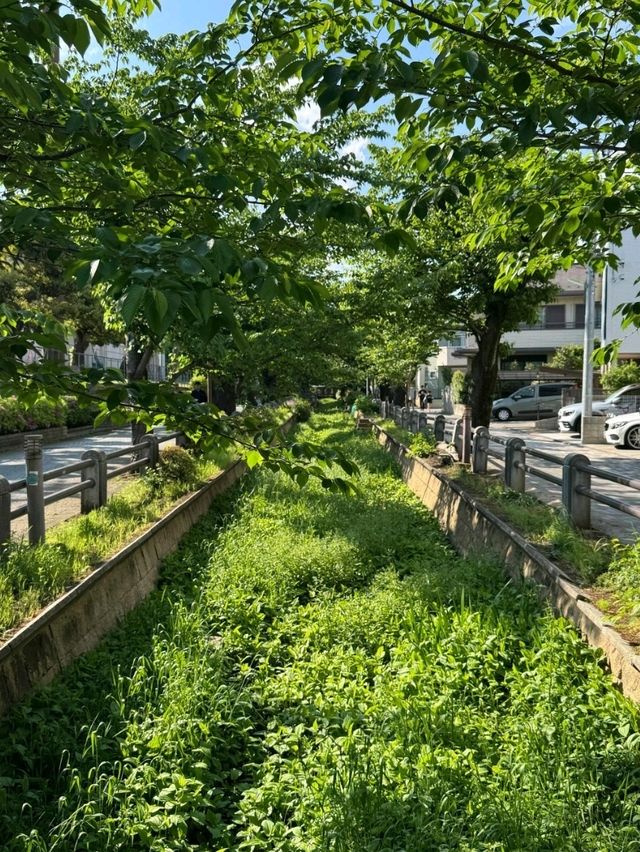 你知道嗎？東京有許多橫穿城市的超長綠道