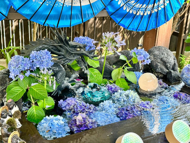 東京新宿 | 隱藏的繡球花祕境