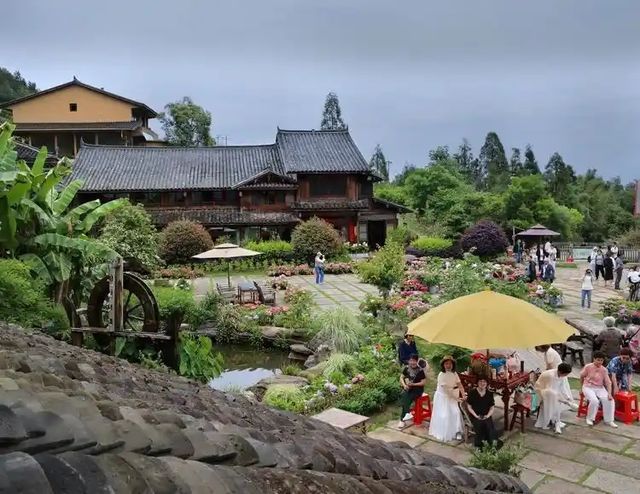 泰順筱村公社：繡球花海與童話世界
