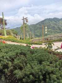 信宜馬安竹海游學攻略