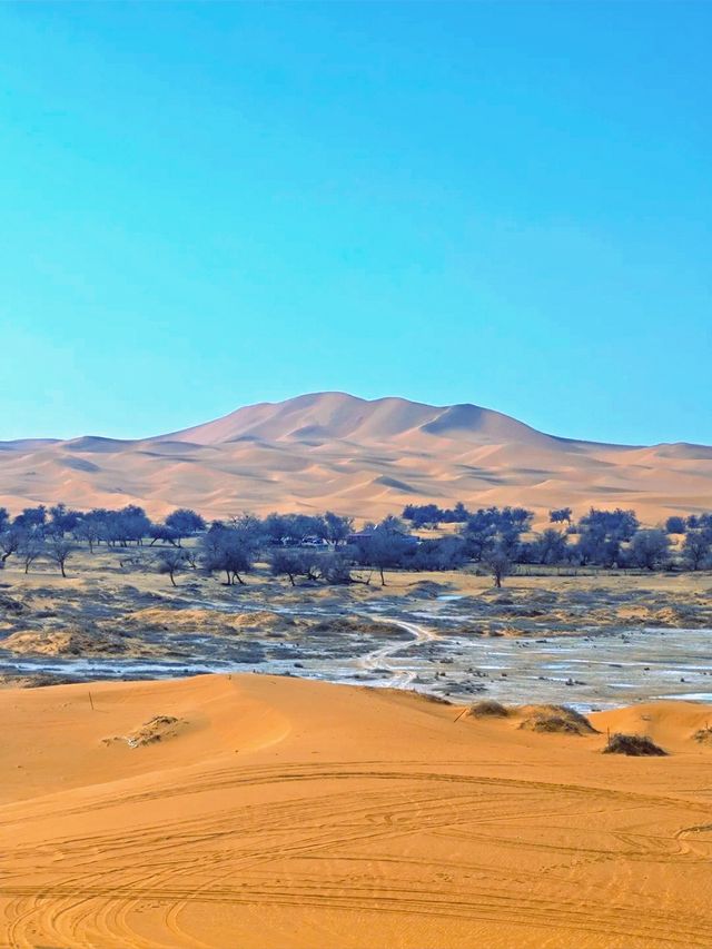 騰格里沙漠旅行攻略：奔赴一場與沙海的約會