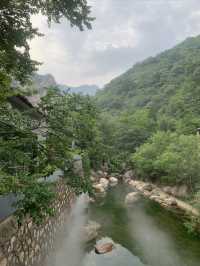 青山溪水嘅梨木台