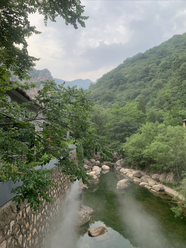 青山溪水嘅梨木台