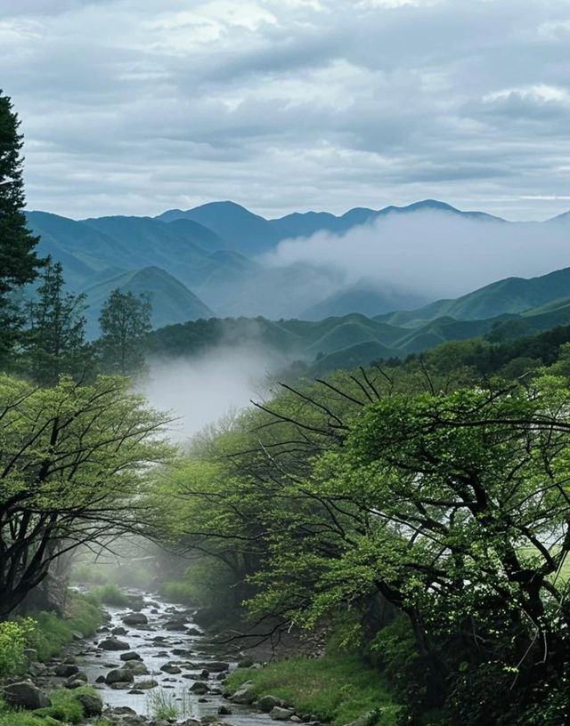 安吉：竹海與山水嘅詩意之旅