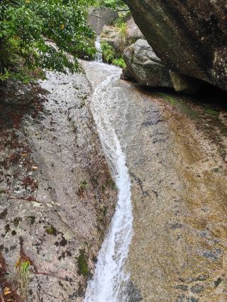 Anhui Tianzhu Mountain