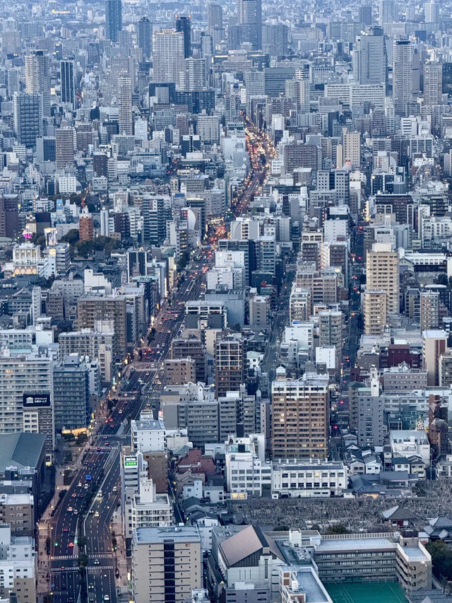 登高望遠的藍色回憶