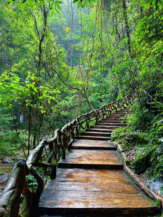 中國負離子濃度最高的風景旅遊區