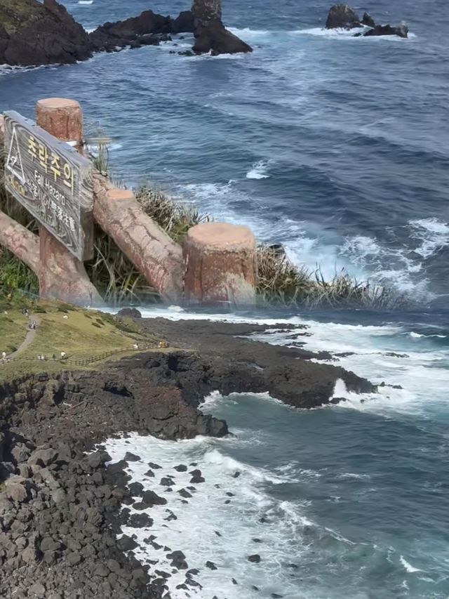 人生建議：來韓國旅遊，一定要留2天時間給濟州島！！！