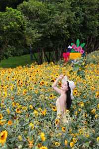 福田中心區向日葵公園 | 邂逅滿分鬆弛感的夏日