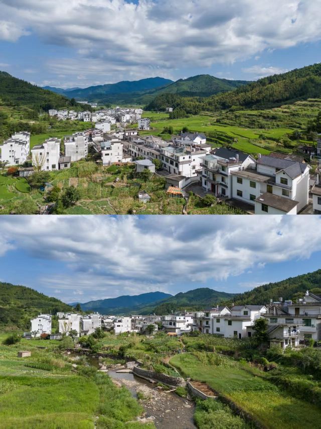 住進篁嶺的山野夢境，推窗即見綠野仙蹤