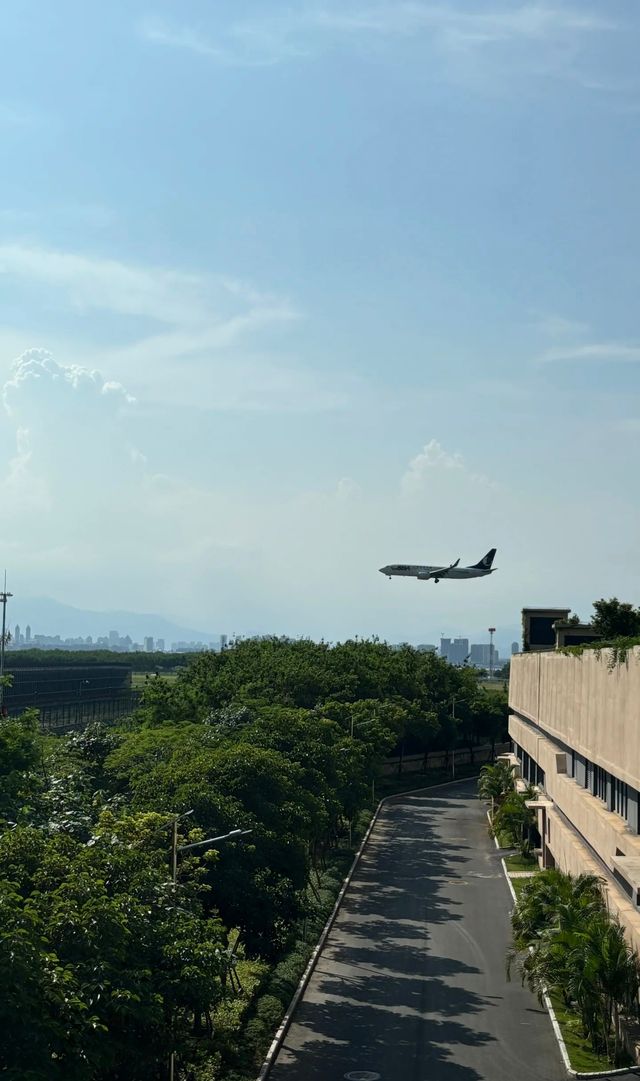 廈門遛娃太幸福了又多咗個好去處「花嶼悅海園」