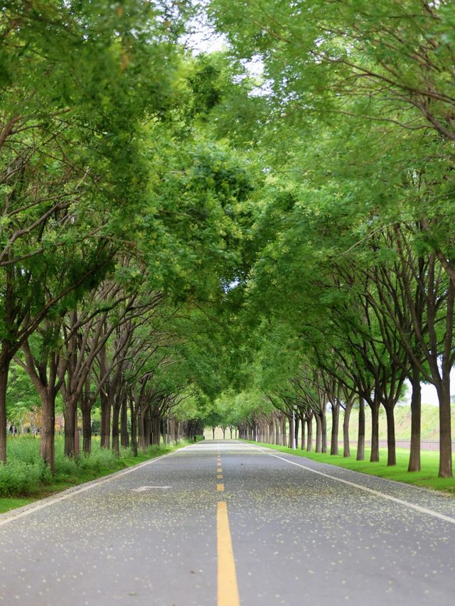 至今為止，鄭州我願意N刷嘅公園出現咗！