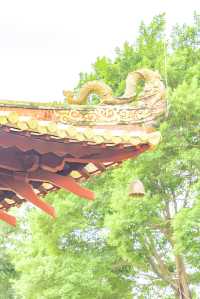 廣州光孝寺拍照打卡全攻略，超絕機位速收藏