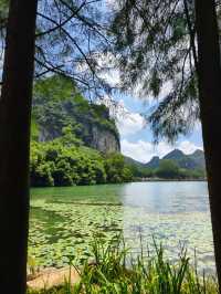 柳州龍潭公園影相避坑指南！避開人潮影出ins風大片