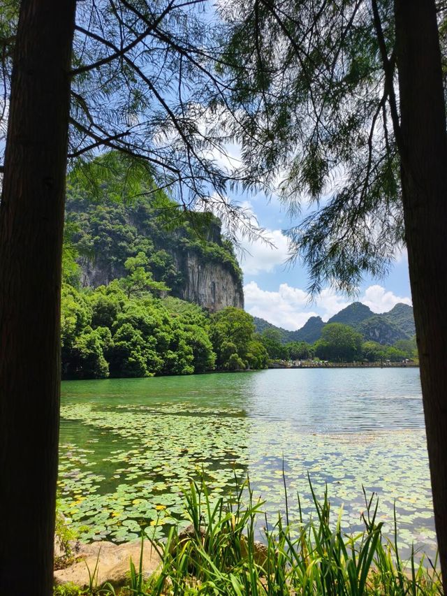 柳州龍潭公園影相避坑指南！避開人潮影出ins風大片