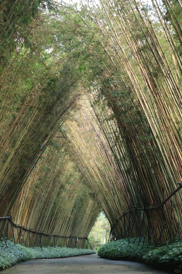 筆架山！！呢度大概係我帶小朋友行過最有趣嘅山啦…