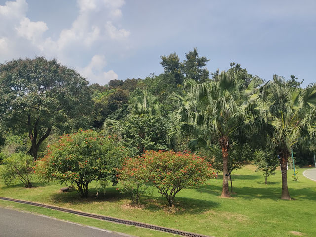 光影之約，解鎖深圳西岸秘境