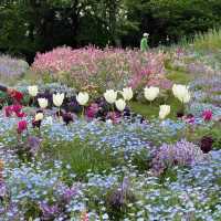 【橫濱里山花園4月尾靚到尖叫！即時實況分享】