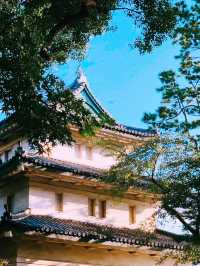 東京絕美秘境！皇居東御苑：穿越江戶時代的綠意時光隧道】**  