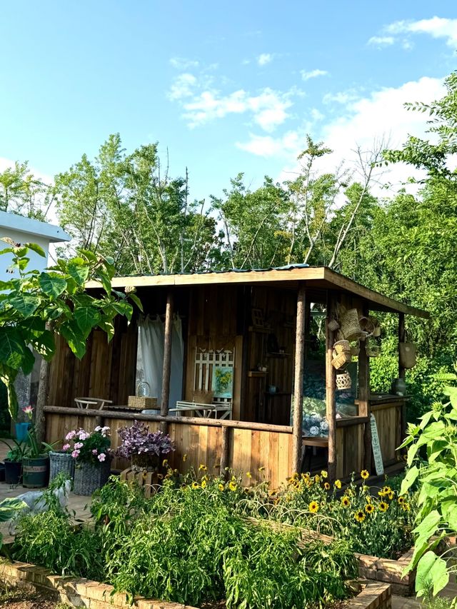 【昆明斗南新晉秘密花園|闖入莫奈油畫世界】 【昆明斗南新晉秘密花園|闖入莫奈油畫世界】