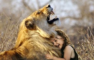 10-Day Adventure Across Zambia and Neighboring Countries