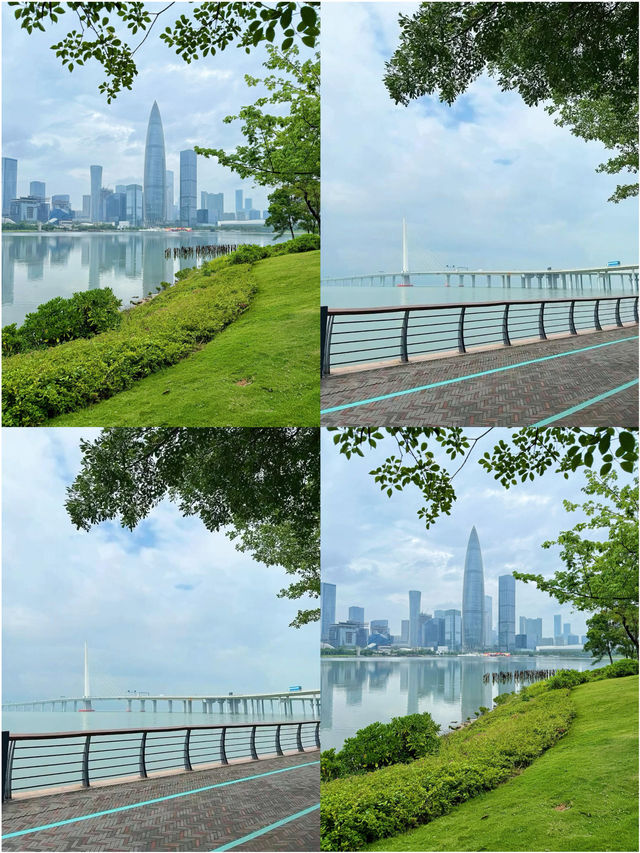 深圳已回，真不建議8月去因為…
