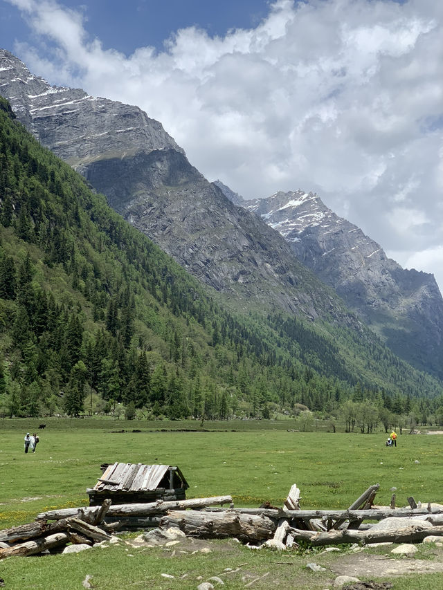 Siguniangshan - changpinggou In June