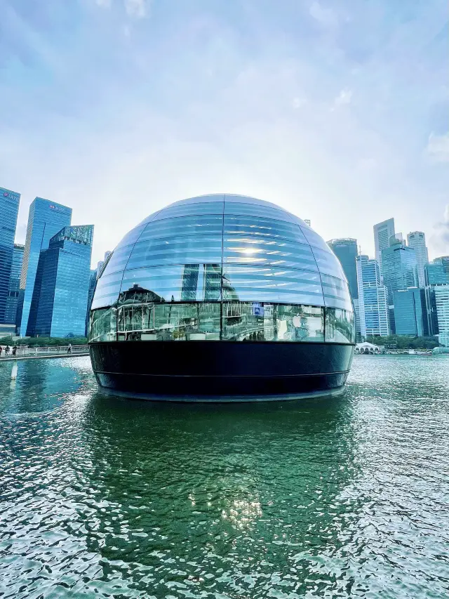 The Most Beautiful Apple Store in Singapore |The "Circular Building" Floating on the Sea