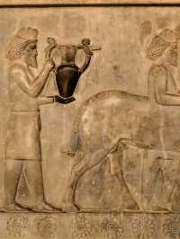 ✨Persepolis: Walking Among the Kings of Ancient Persia 🏛️🌄