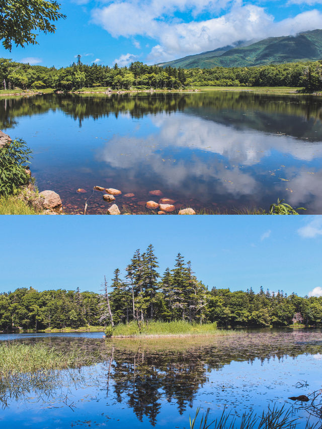 來北海道,一定要來一趟有森林和溫泉的道東 來北海道,一定要來一趟有森林和溫泉的道東
