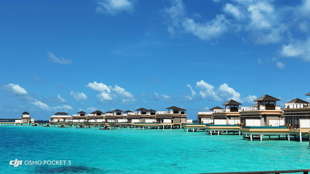 Sophie's Exceptional Care Enriches Island Vacation