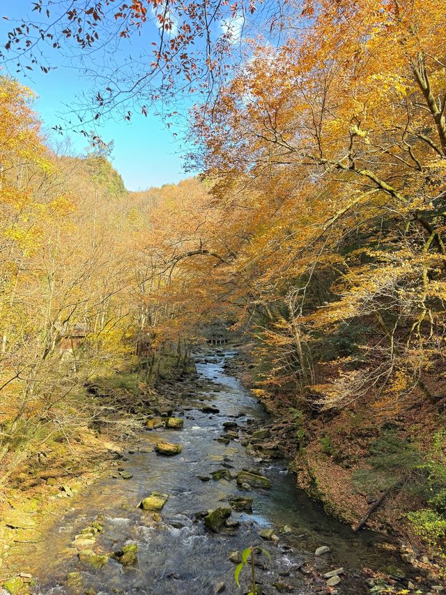 【每週出遊】漢中探秋，黎坪景區一日遊