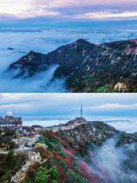 泰山之巔，雲海與秋色撞了個滿懷！