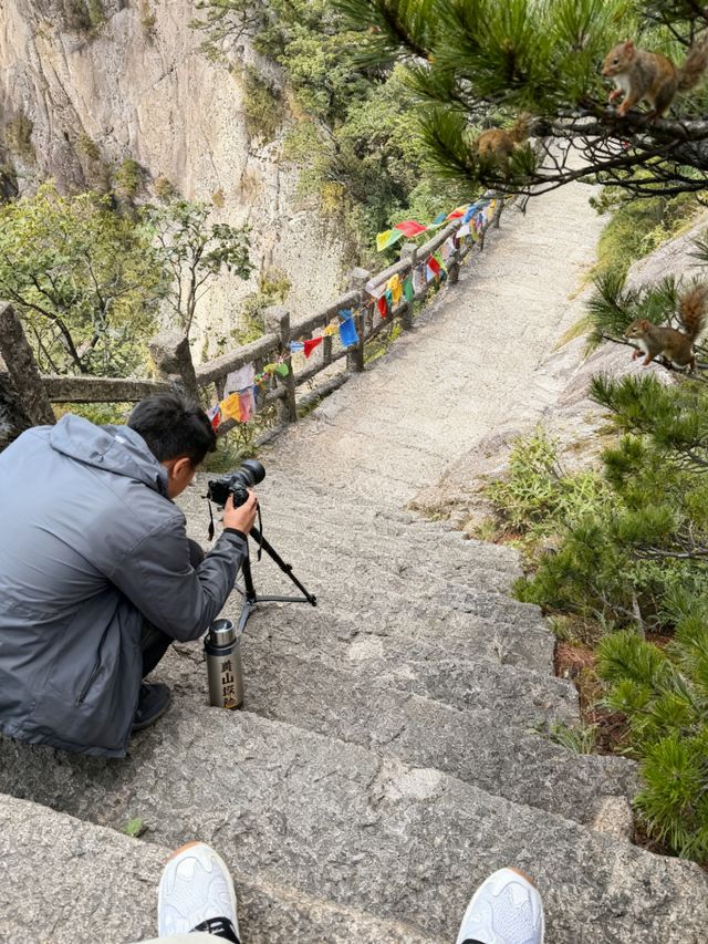 黃山天都峰爬新道口還是老道口？超全攻略來了！ 天都峰已在2024年3月開放，將持續到2029年春