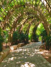 牛崗山公園