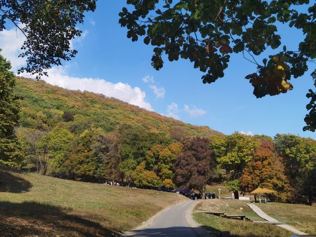 秋山